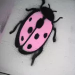 koski Melbourne Ladybug
