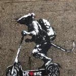 NYC scooter rat ph Celeste