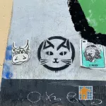 MX Guadalajara cat icon