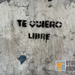 MX Guadalajara te quiero libre