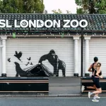 Banksy London 2024 animal liberation