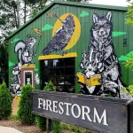 erre NC Asheville Firestorm Books 01