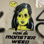 IT Rome Monster Weed ph Adam K