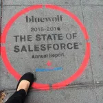 SF SoMa ADVERT bluewolf