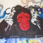 CA San Diego UCSD 2009 Graff Hall chimp