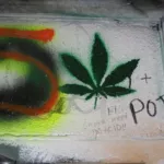 CA San Diego UCSD 2009 Graff Hall cannabis