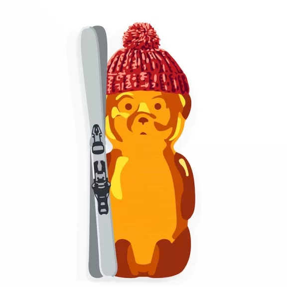 fnnch Skier Bear