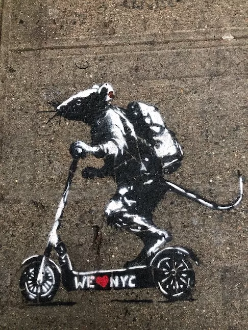 NYC scooter rat ph Celeste