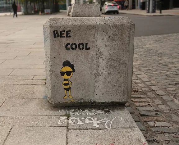 IE Dublin Bee Cool ph J Rojo for BSA