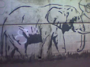 AU Melbourne Elephant