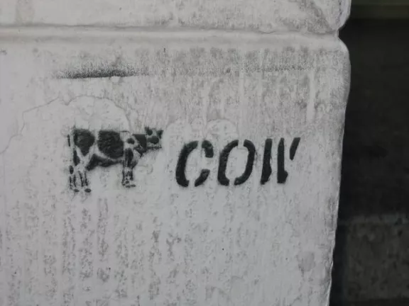 DE Berlin cow