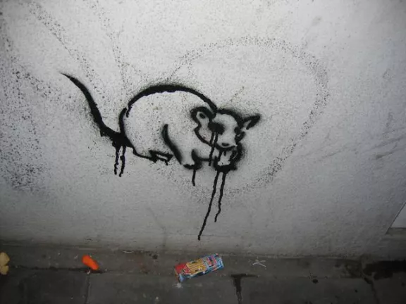 DE Berlin rodent