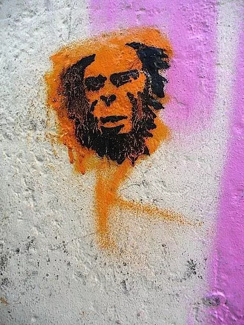 DE Hamburg ape