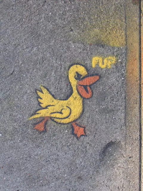 SF Lower Haight Fup Duck