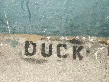 SF Lower Haight Duck