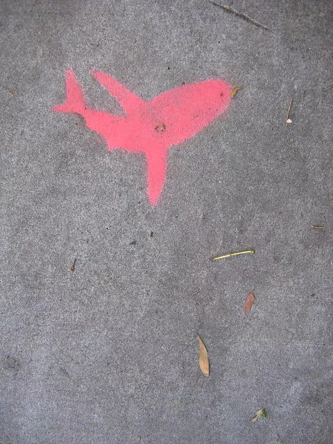 SF Upper Haight Shark