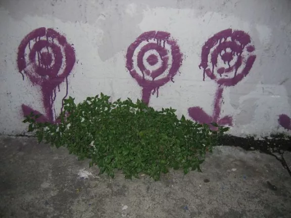 SF Mission Flower Targets