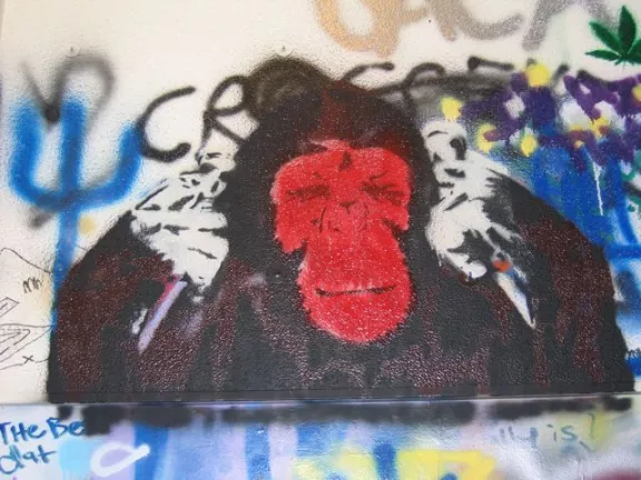 CA San Diego UCSD 2009 Graff Hall chimp