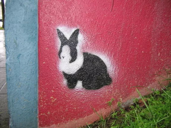 OR Portland Rabbit